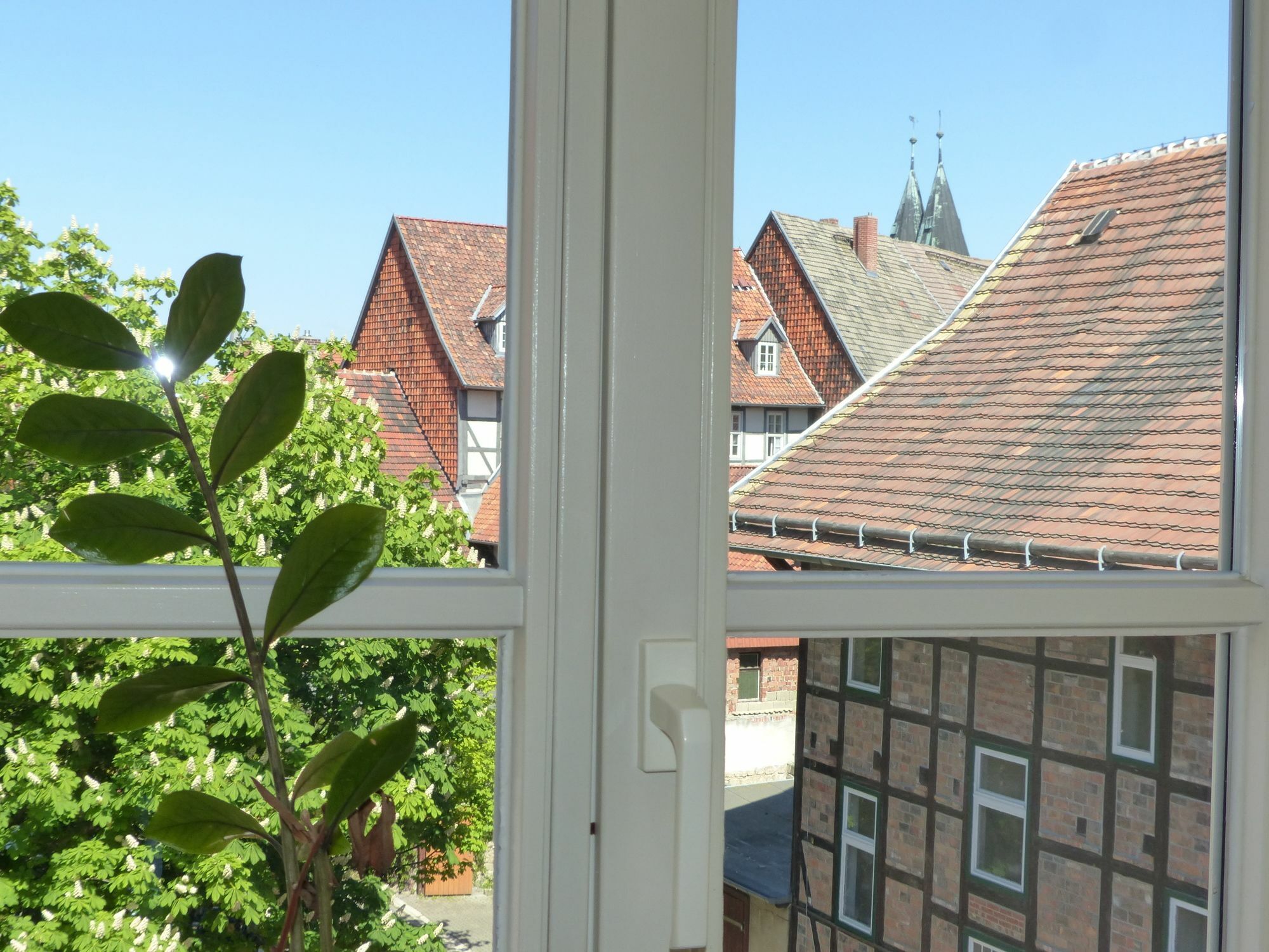 Hotel Zum Brauhaus Quedlinburg Bagian luar foto