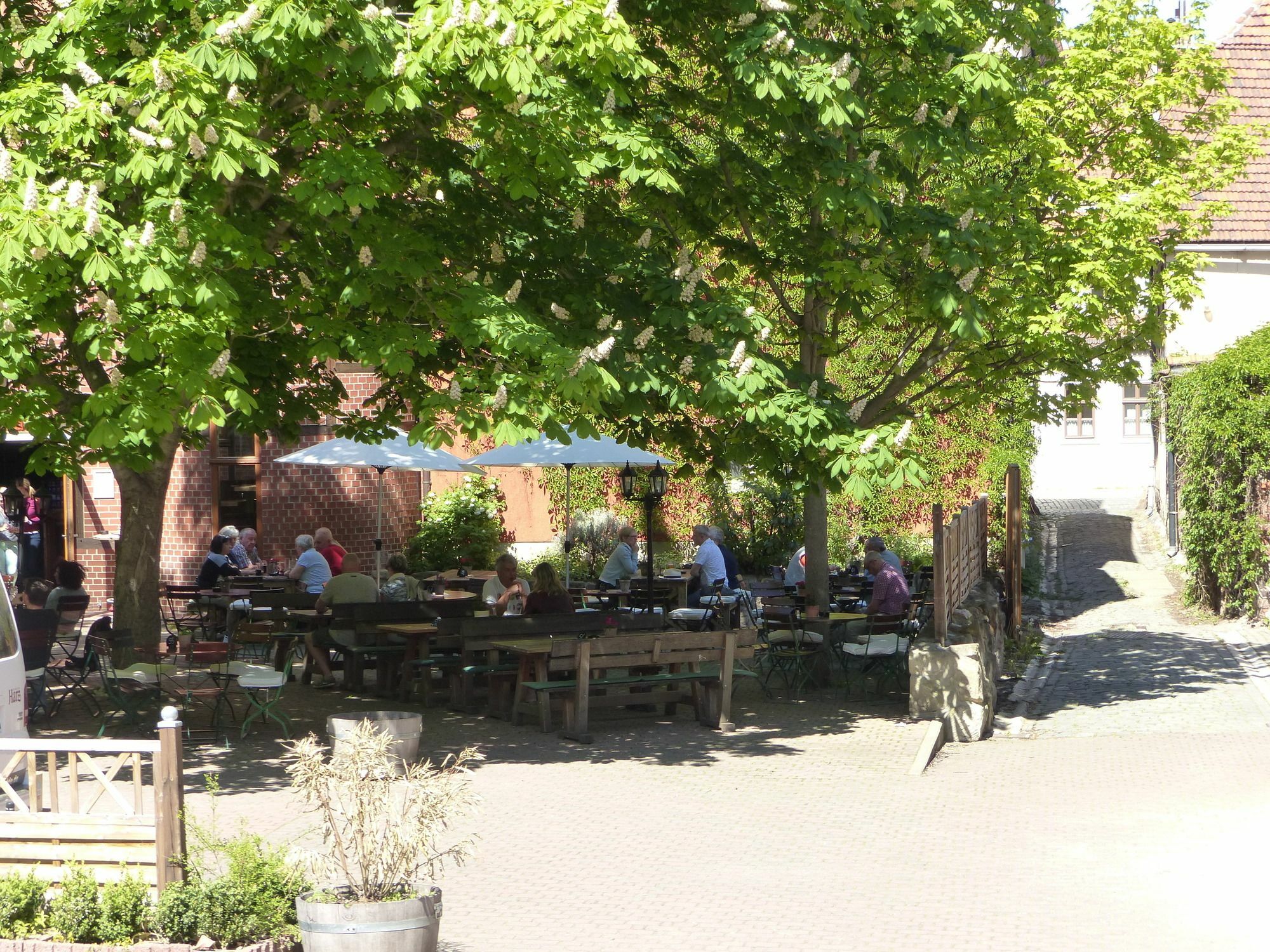 Hotel Zum Brauhaus Quedlinburg Bagian luar foto